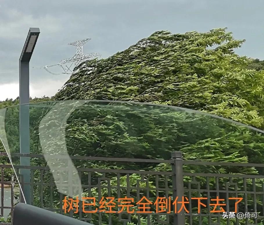 自然之威,自然之威力