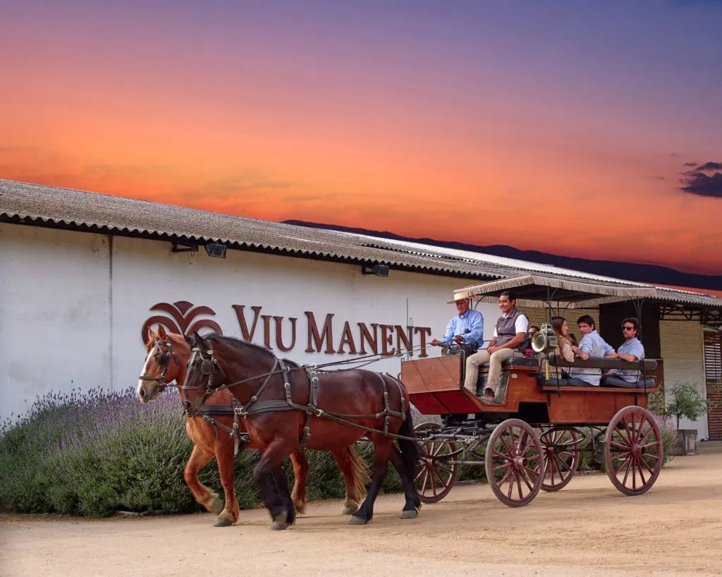 智利十八罗汉之一威玛,智利十八罗汉威玛