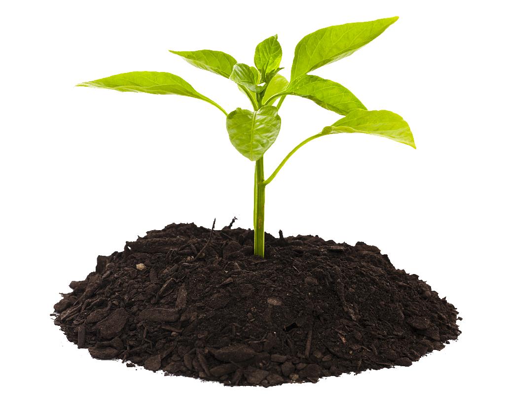 立夏火旺还是土旺,立夏土旺满了吗