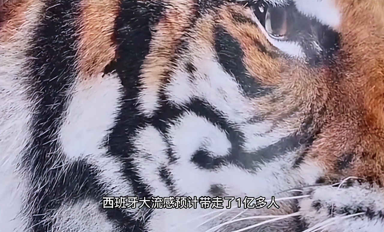 新东方直播间董宇辉录屏,新东方直播间董宇辉讲英语