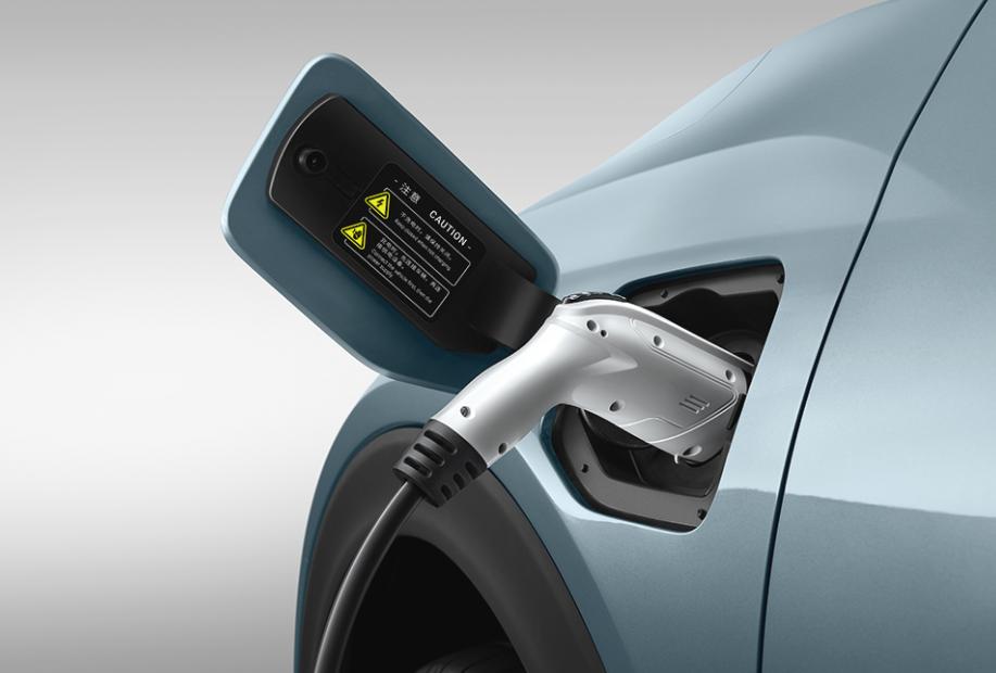 主场作战问鼎巅峰,主场作战