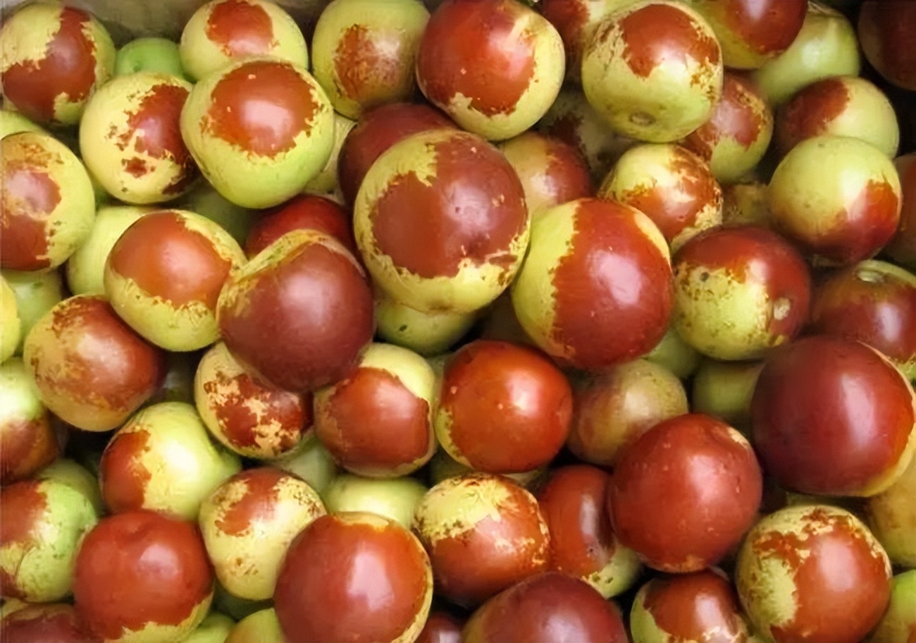 我爱我的家乡滨州市,我的家乡在滨州的作文