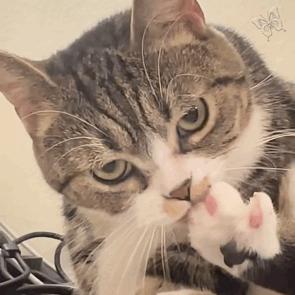 360全家桶有哪些,360全家桶套餐