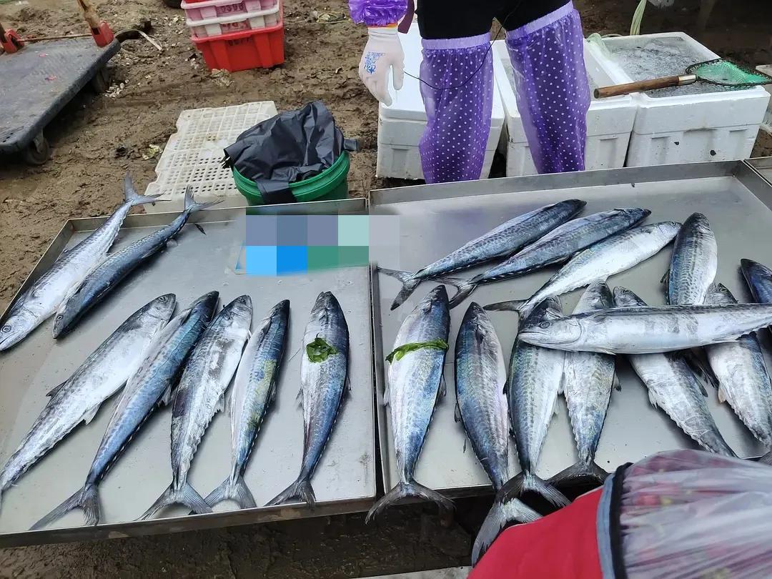 烟台水果物价,烟台地区最新的水果价格