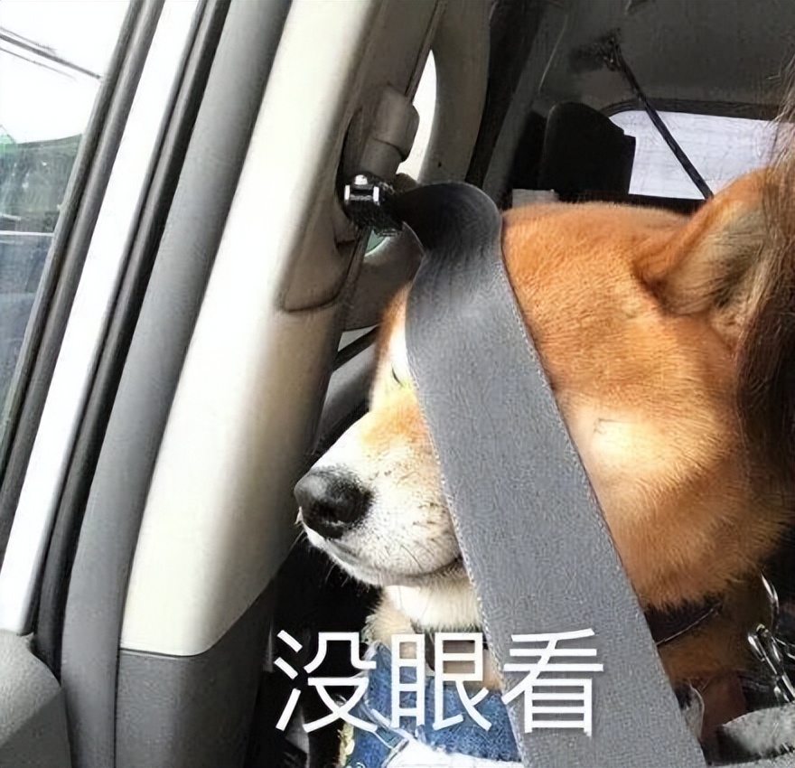 离谱！山东大哥专卖死人车：车有多凶，全看小*狗黑**上车坐哪？？