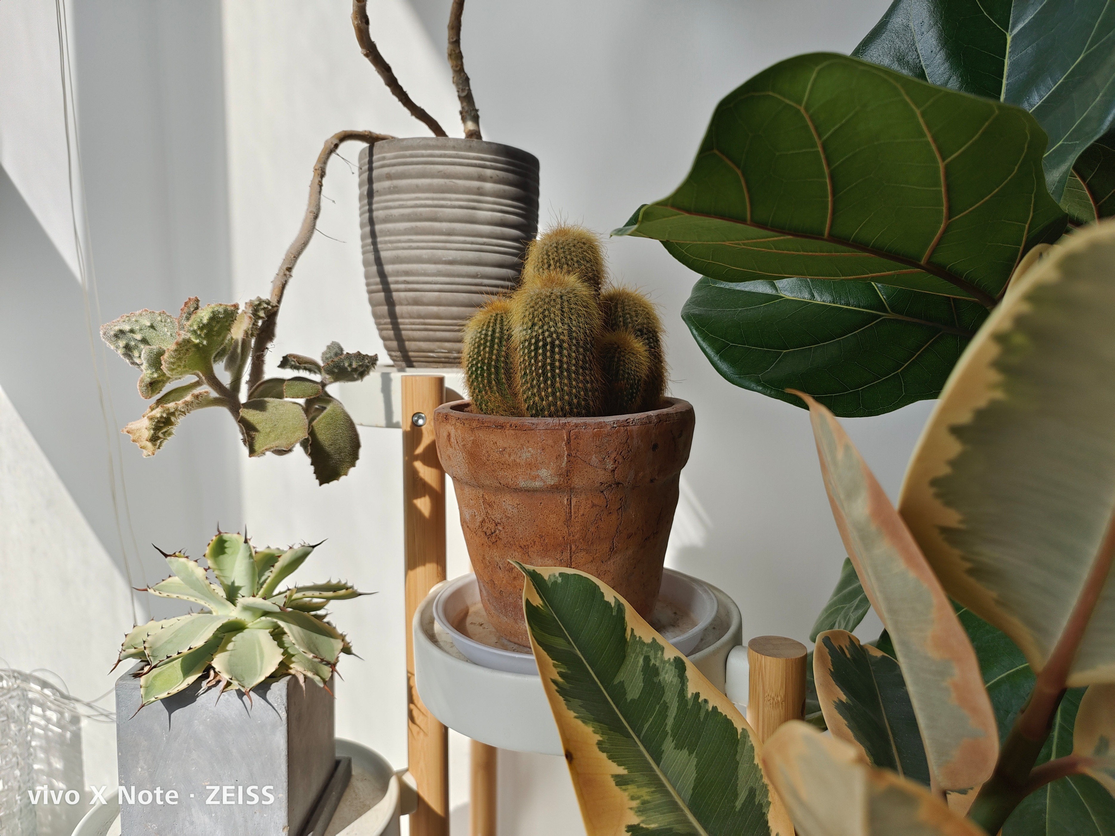 vivoxnote全面测评,vivoxnote对比iphone13promax