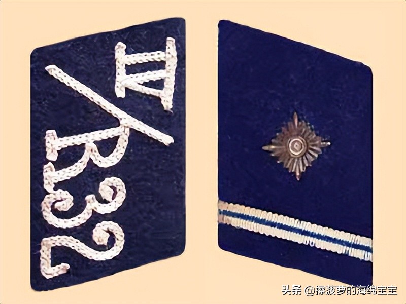 纳粹冲锋队用的什么枪,纳粹德军军衔图解