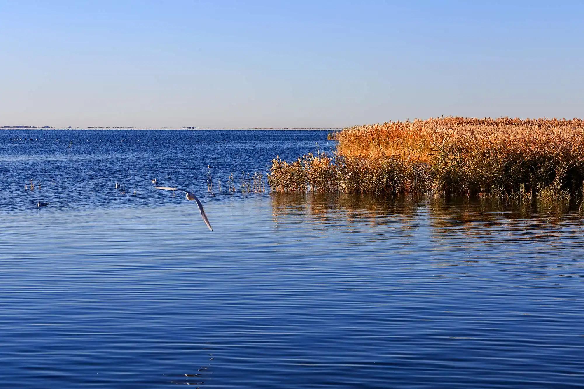 我军历史上以当时世界顶尖高科技装备击落美蒋匪帮高空侦察机纪实