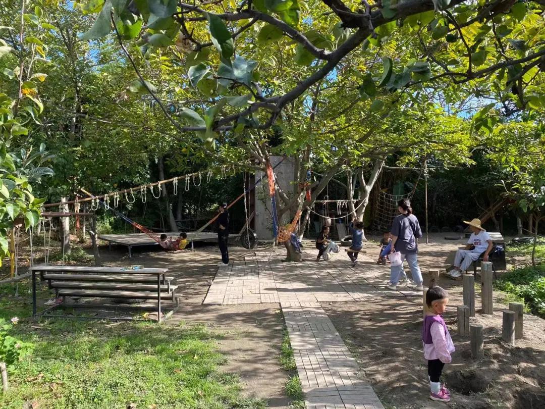 大理幼儿园环境,大理县城幼儿园