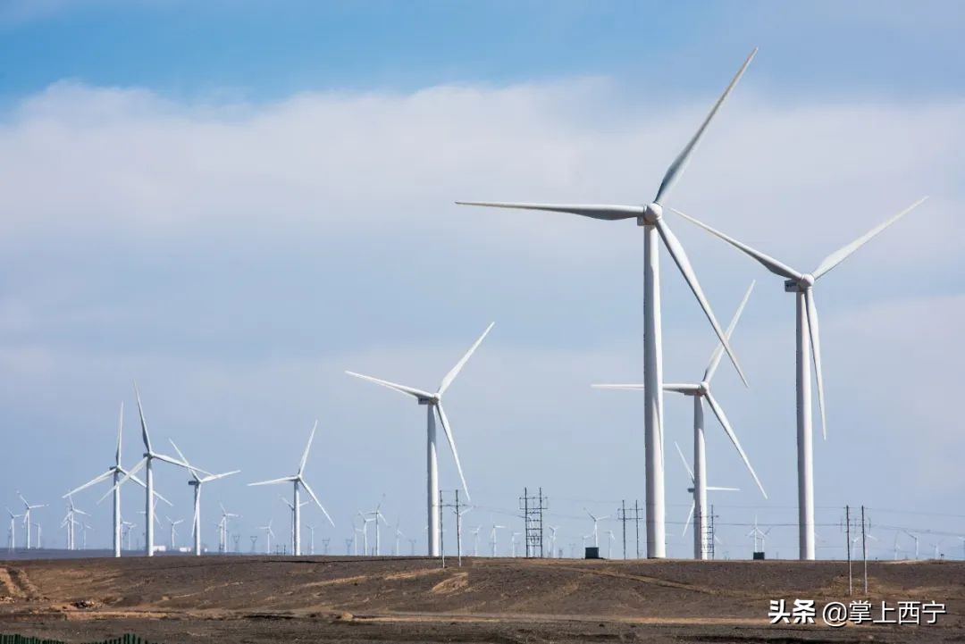 7月20号，神秘区域将举办神秘活动…