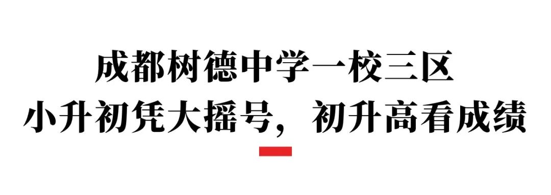 成都树德中学外国语校区招生简章,成都树德实验中学哪个校区最好