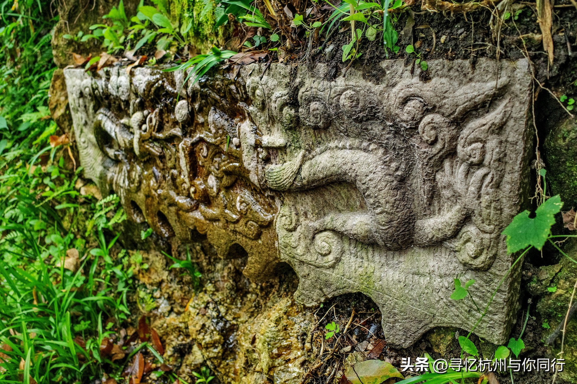 杭州三大景观古建筑,杭州三大名茶