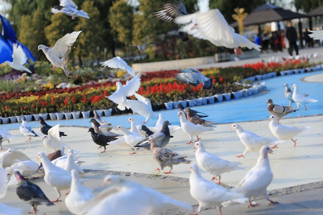 海口五一赶海时间和最佳赶海时间,目前海边旅游赶海推荐