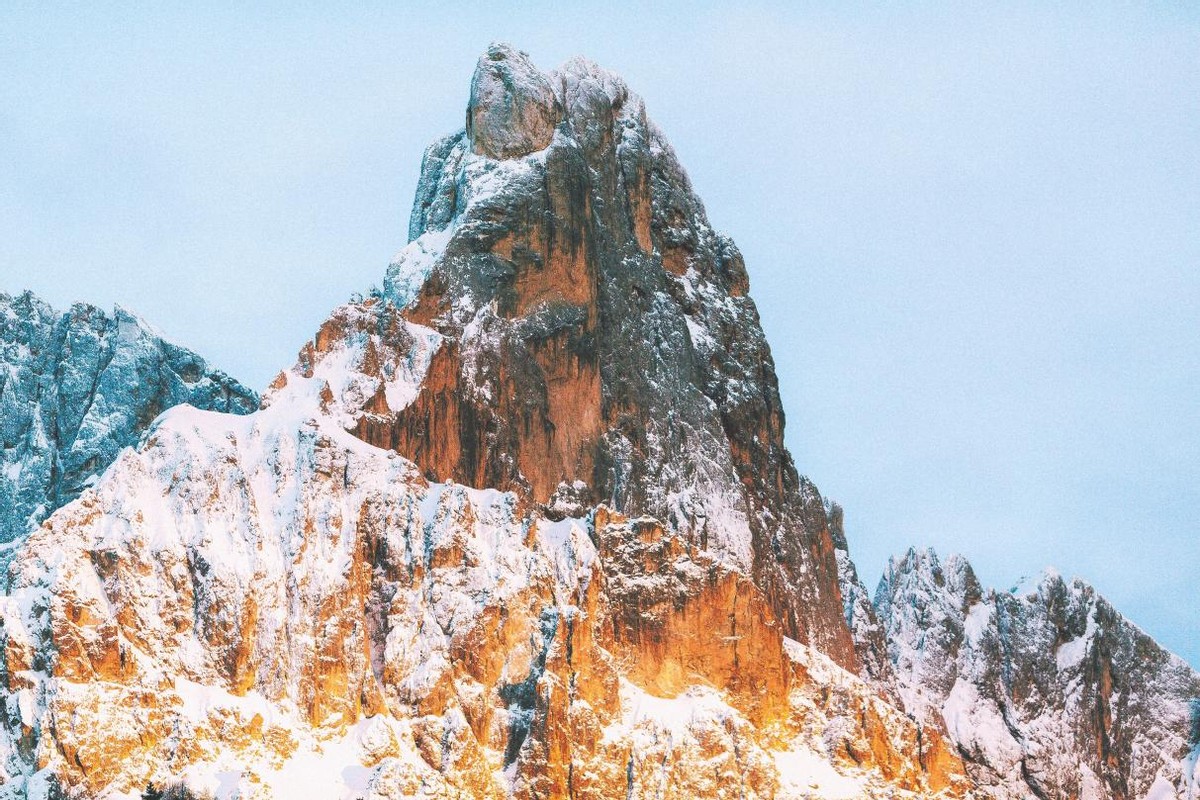 中医抗肿瘤的最佳方法,治疗肿瘤的中医要几味药