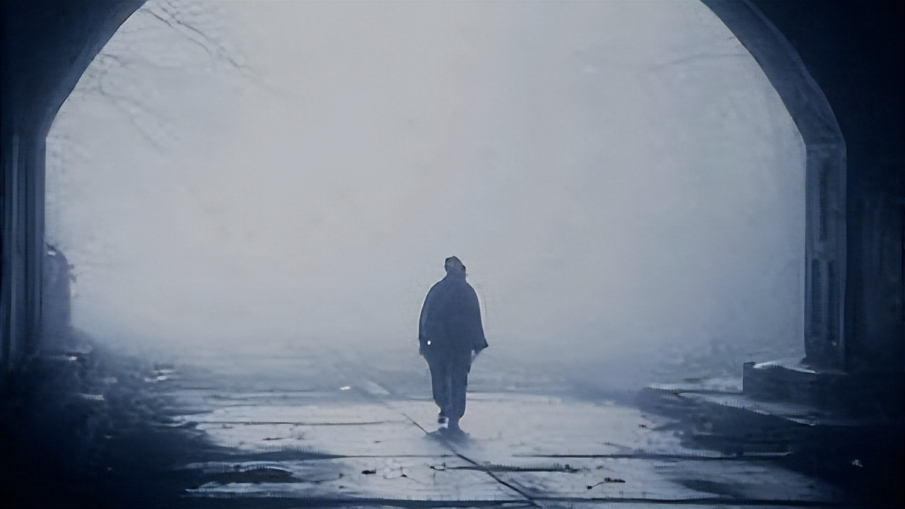 王云娜案件判刑名单,河北王云娜宣判