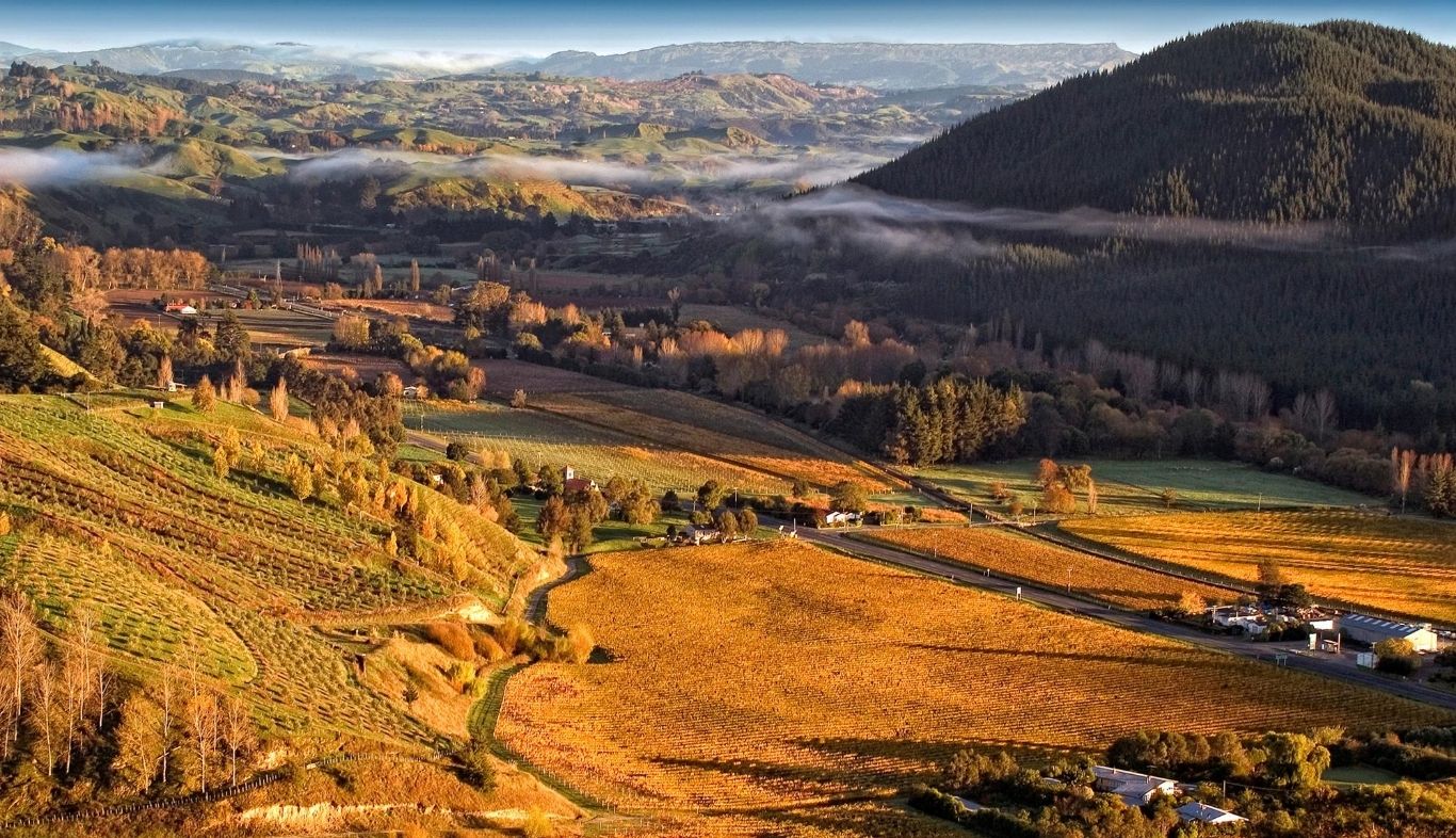 新西兰霍克斯湾,新西兰北岛霍克斯湾