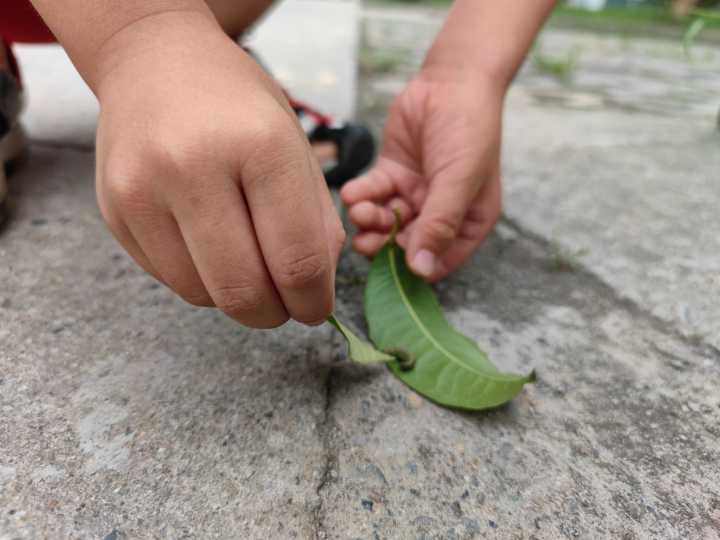 如何巧妙提问幼儿,幼儿园花式提问