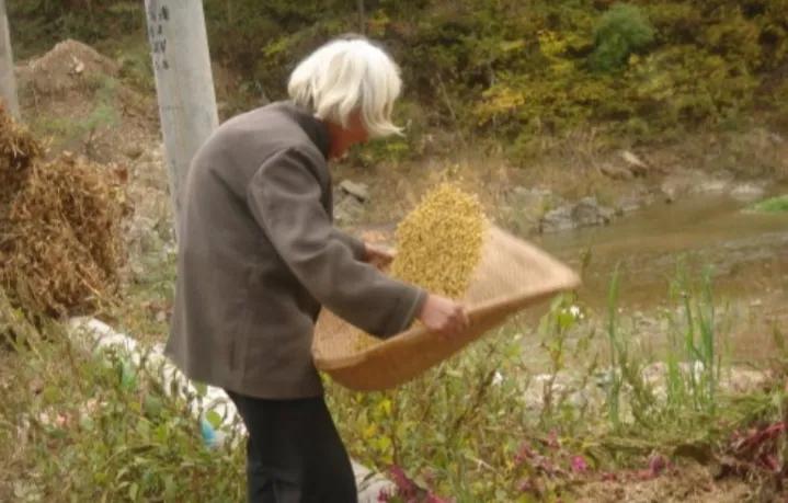 指纹为什么会有斗纹和簸箕纹,历史上指纹是十个斗和簸箕纹的人