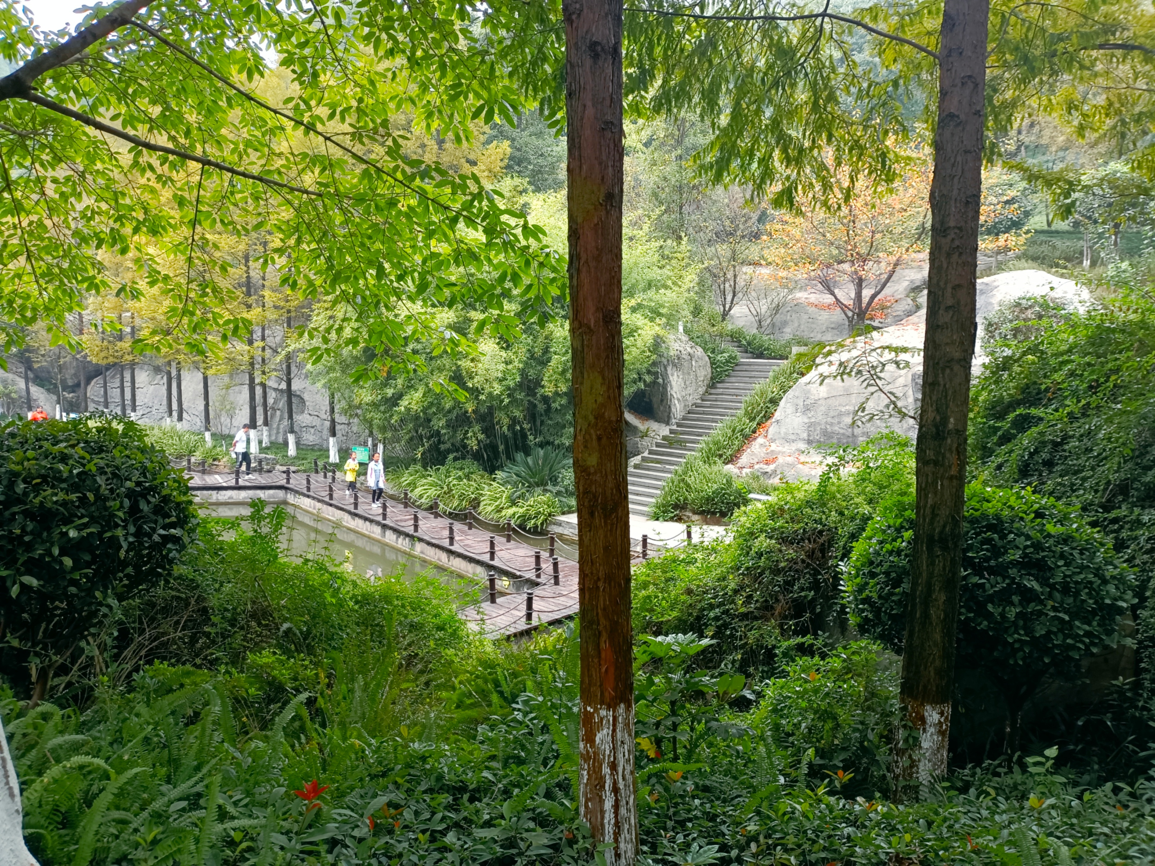 五菱星驰能在二环跑吗,五菱星驰进无人区