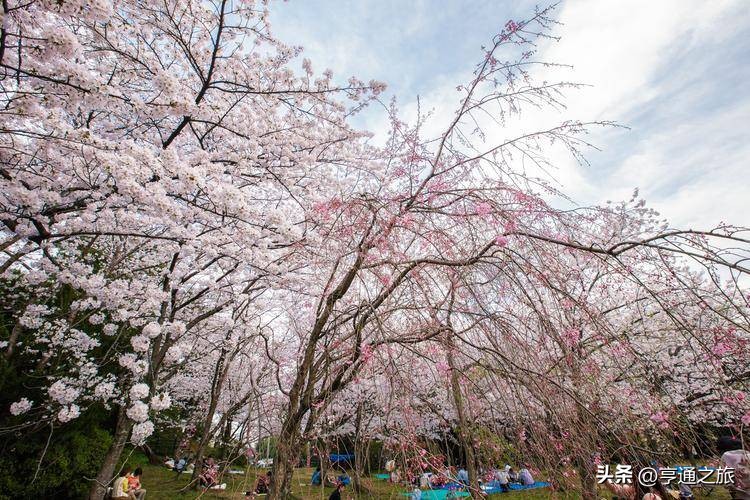 日本团游含机票,日本九州旅游团报价2023