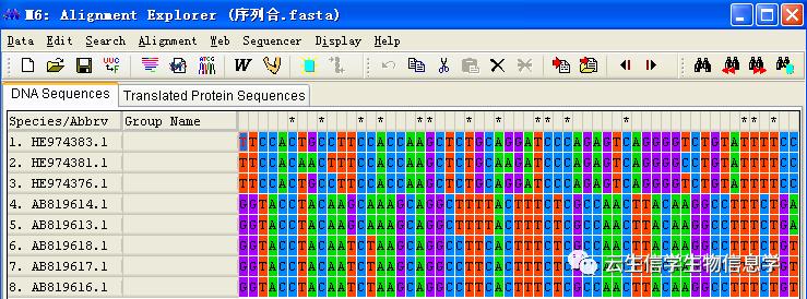 mega6软件使用教程视频,使用mega软件