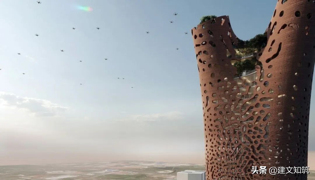 waf2023世锦赛,waf国内排名