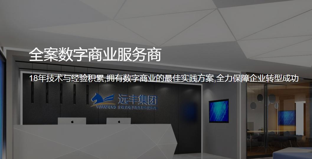 商城系统定制开发平台,软件定制开发公司