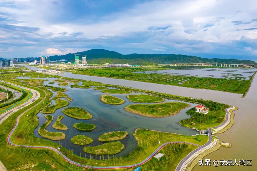 珠海春游赏花,珠海周边踏青景点