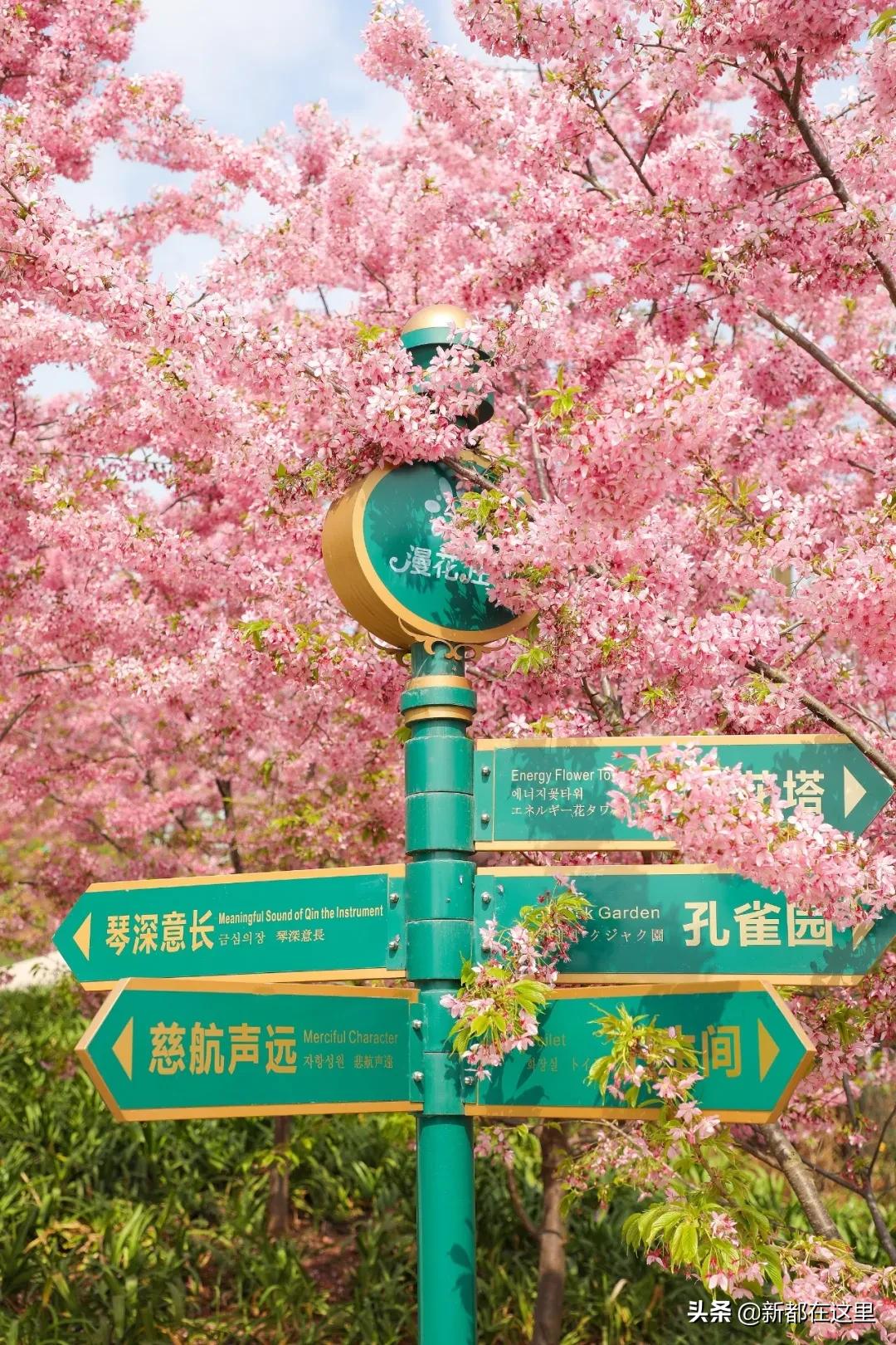 邂逅香城，在新都必做的50件小事~