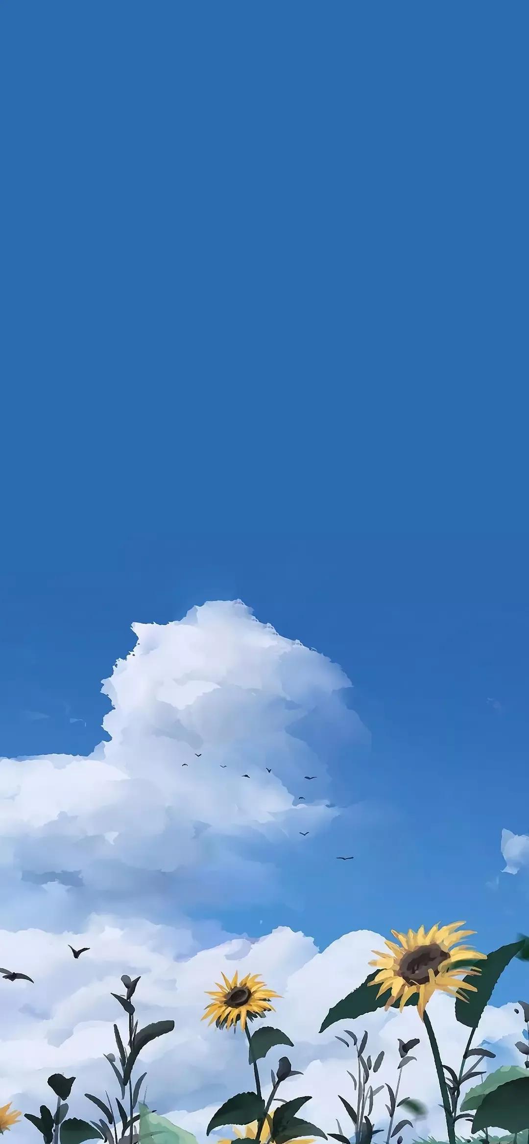 歼20高清壁纸4k全屏无水印,精选壁纸高清无水印高级感