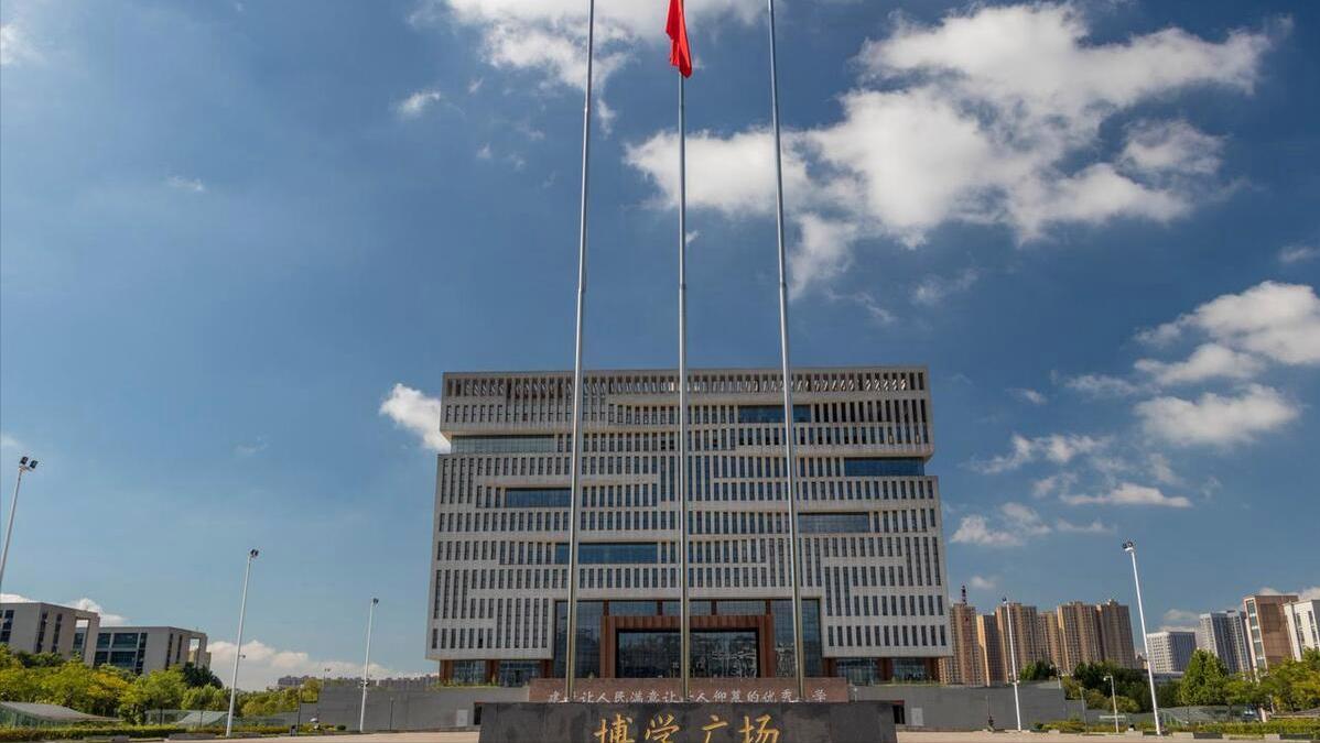 美术学专业大学排名湖北美术二本,湖北美术学院设计类专业有哪些