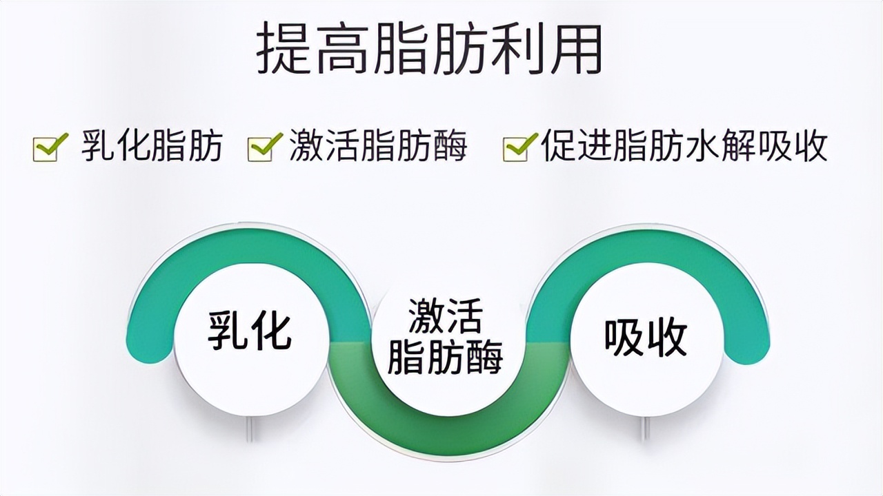 胆囊炎的人是瘦还是胖,胆囊炎的人如何长胖