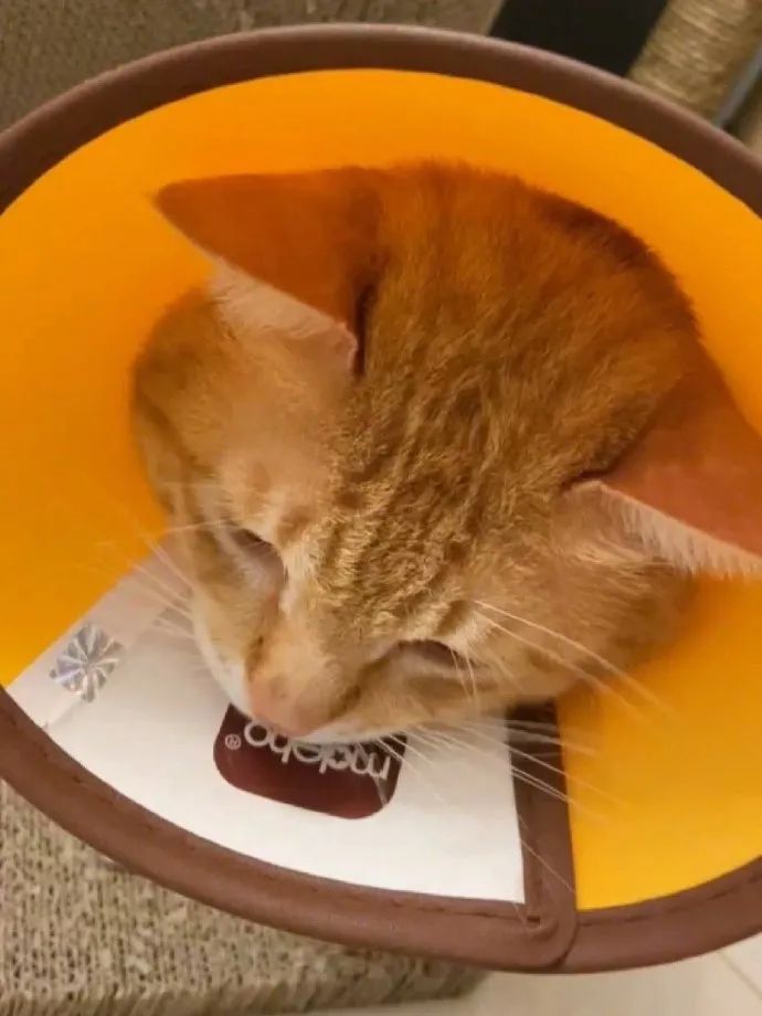 男朋友送6000的礼物,男朋友送了个7000的包分手要还吗