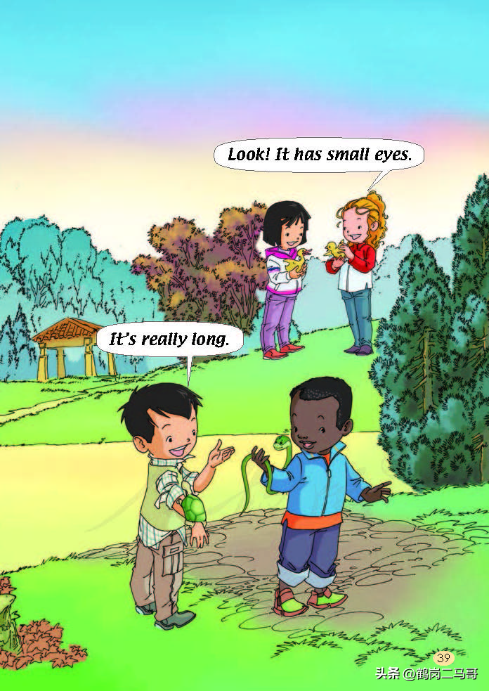 暑假小学预习,暑假预习新初一