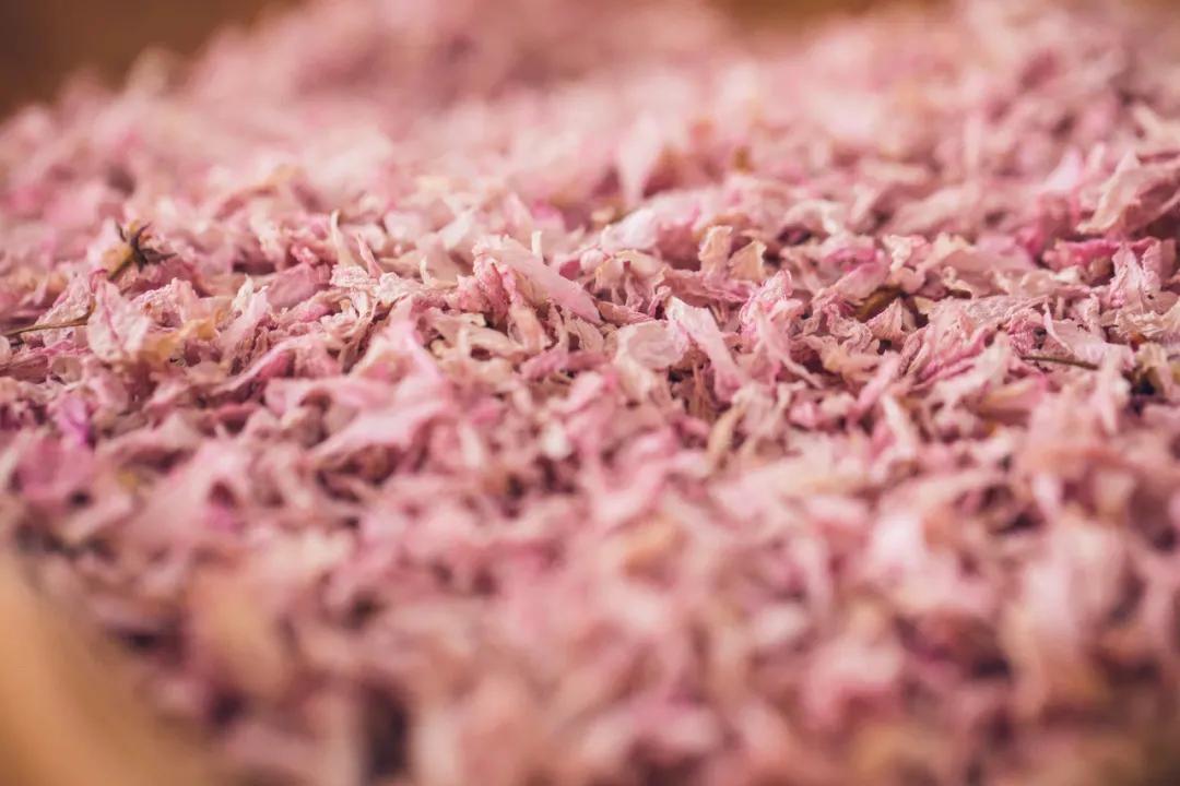 愫氧宇宙｜梦里皂花香