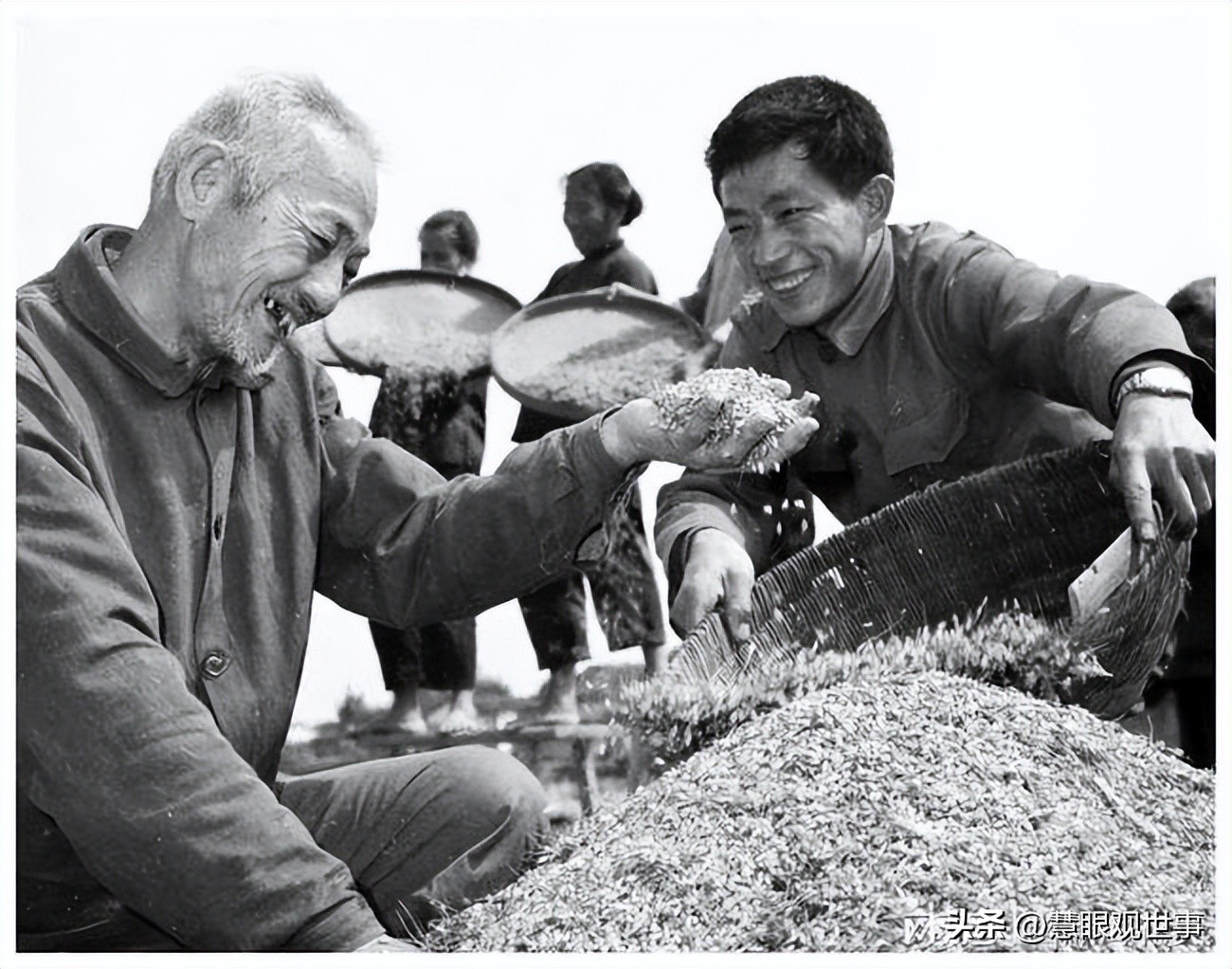 公知造假全知道：网络上的图表也是可以造假的