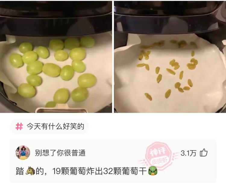 网友们的脑洞大开神评，迟早笑死在评论区。你好，我姓刘，达不刘