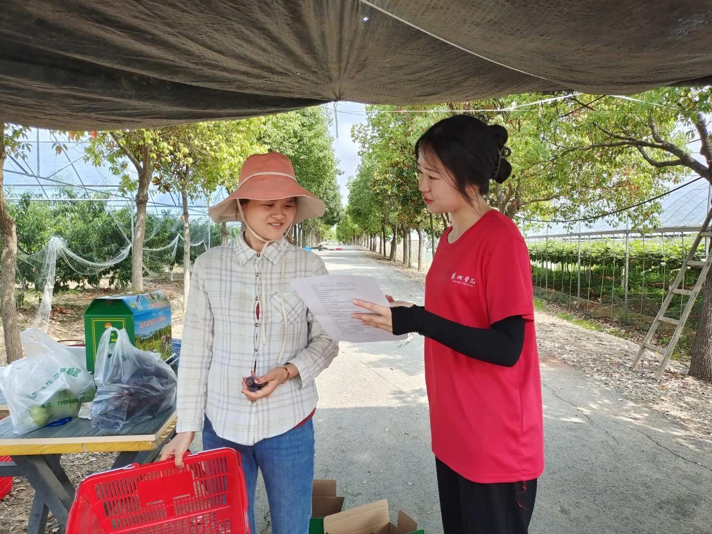 巢湖学院学子暑期“三下乡”：设计文创IP形象，助力黄麓乡村振兴