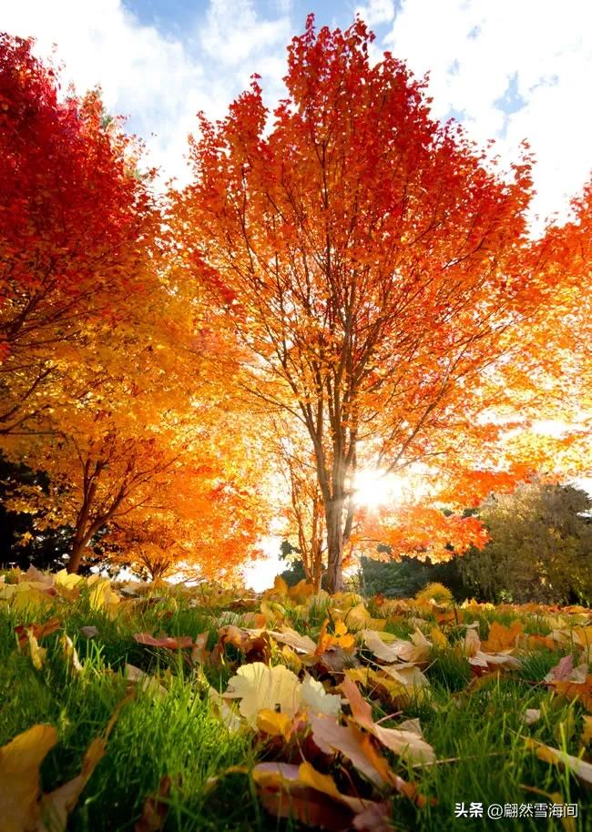 关于春夏秋冬四个季节的古诗句,关于春夏秋冬的诗词名句有哪些