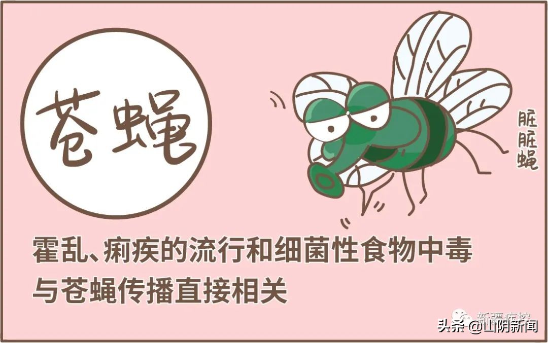 身边常见的动物传染病有哪些,动物之间传播的传染病