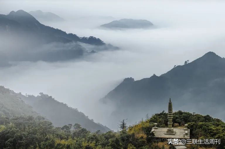 冬至珍重待春风,冬至大如年珍重待春风