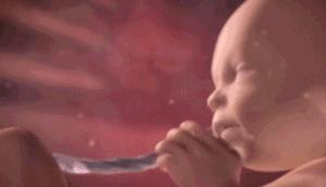 四维彩超宝宝不配合怎么办,四维彩超宝宝不配合怎么办吃什么