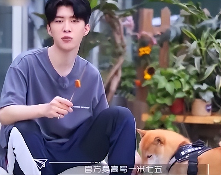 范丞丞被张大大夸,范丞丞怼张大大原视频