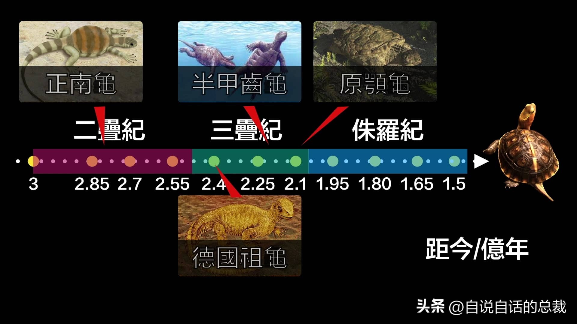 龟蛇大战巨龟视频,罕见别致的龟蛇大战