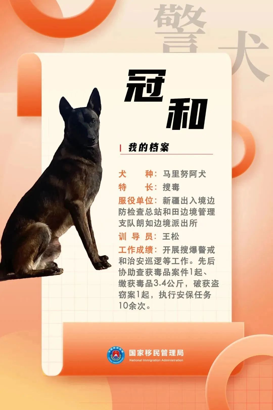 功勋犬天狼,功勋犬挑战不可能
