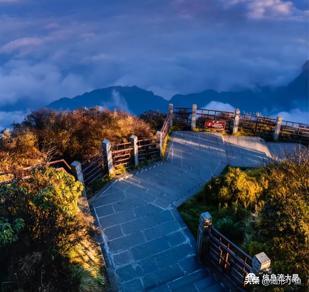 疫情大环境下适合创业的项目,疫情下的创业项目