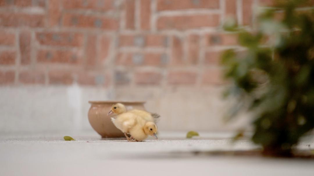 湛江10口人居住的房子,湛江10口之家平面图