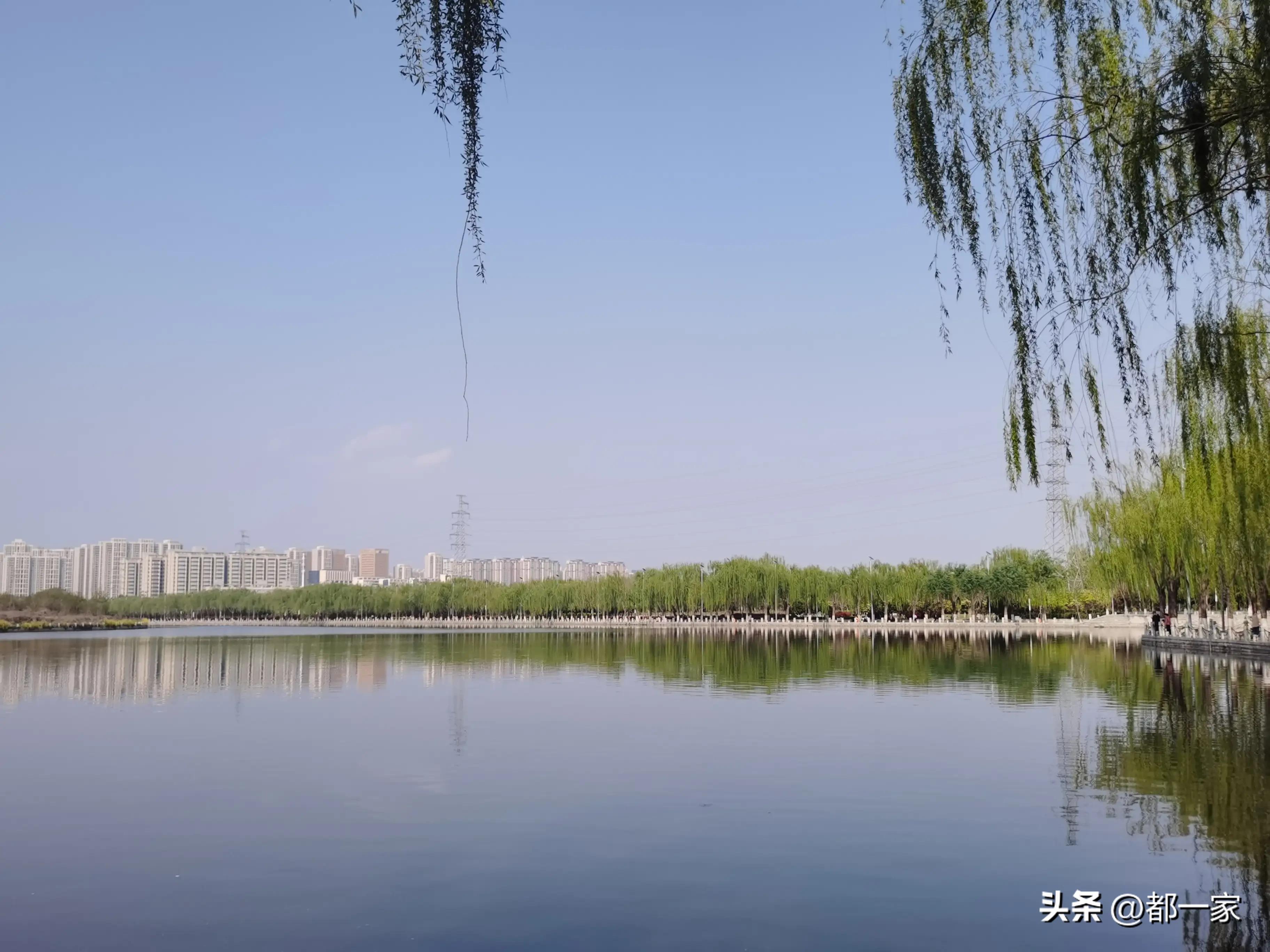 郑州须水河湿地公园,郑州索河湿地公园网红打卡地