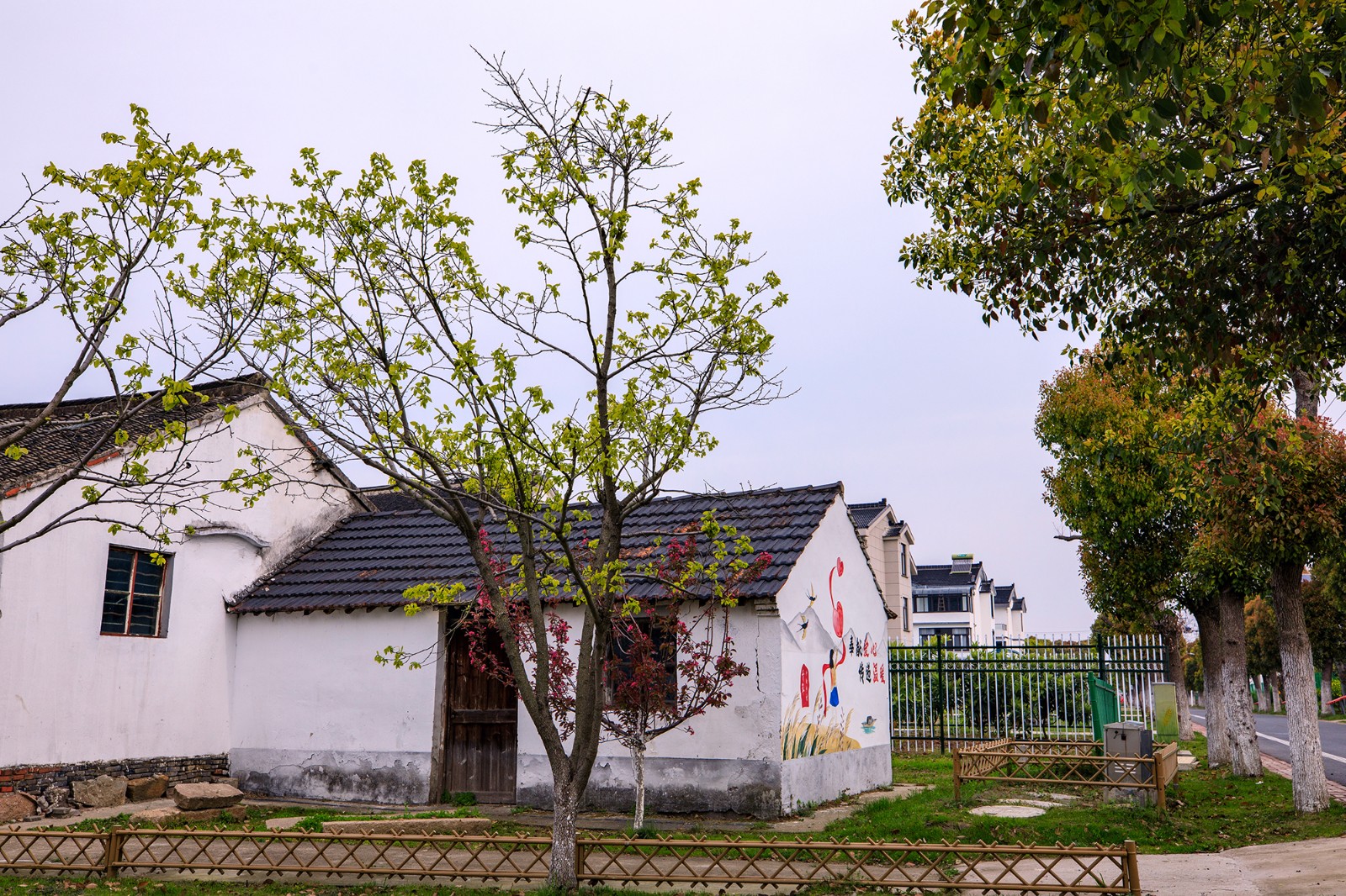 沙家浜景区诗句,沙家浜芦荡在什么地方