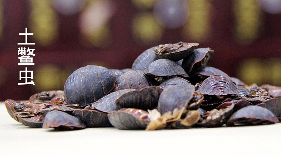 膝盖不痛、顽疾可祛，让腿轻松，今天主讲如何解膝痛腿痛